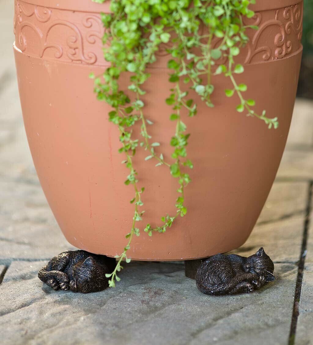 Pflanzensockel™ Verhindert Wasserstagnation