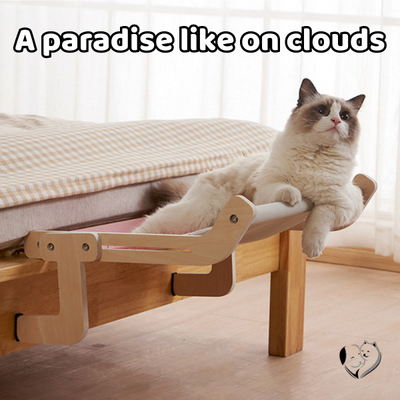 KatzenLounge™ Ultimativer KatzenKomfort