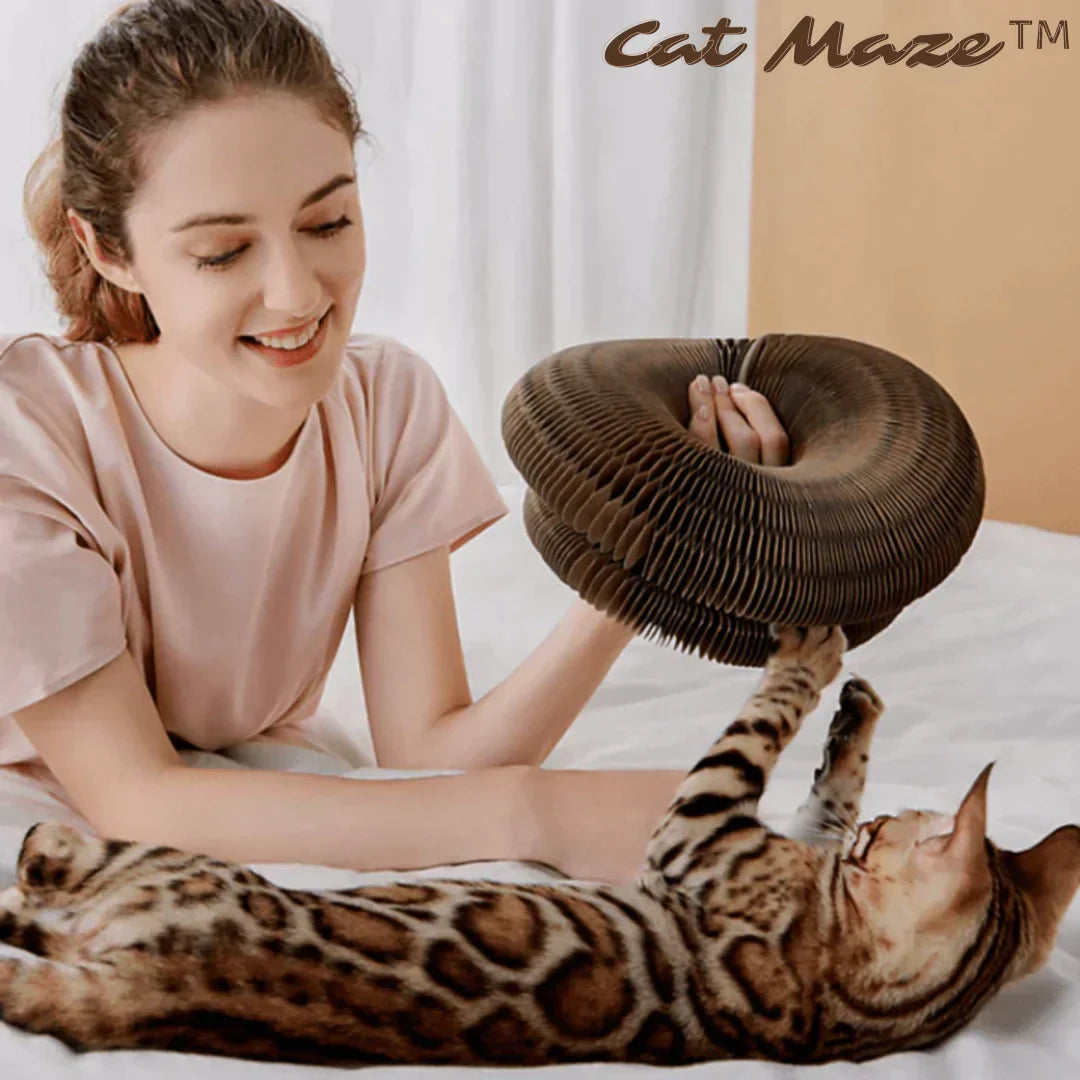 KatzenSpaß™ Katzenspielzeug