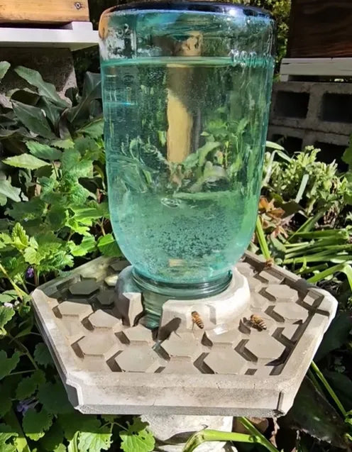 BienenQuelle™ Bienenfreundliche Wasserquelle