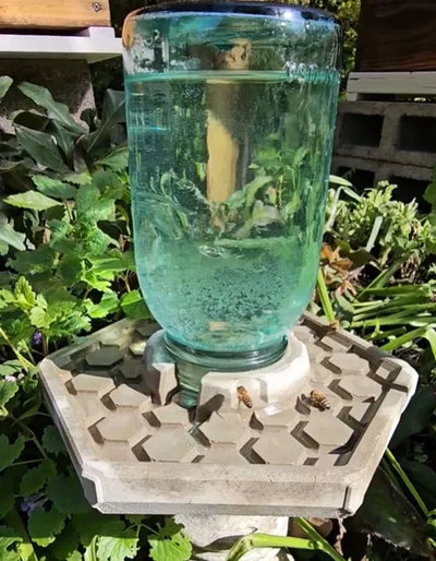 BienenQuelle™ Bienenfreundliche Wasserquelle