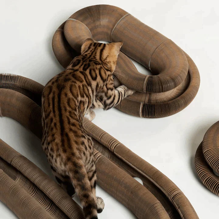 KatzenSpaß™ Katzenspielzeug