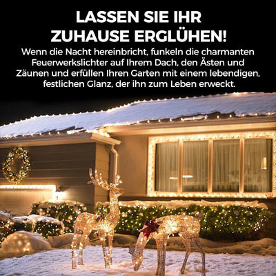 Weihnachtsdekoration | WeihnachtsCharme™ | Funkelnde LED Ornamente | Festlicher Glanz & Wiederverwendbar