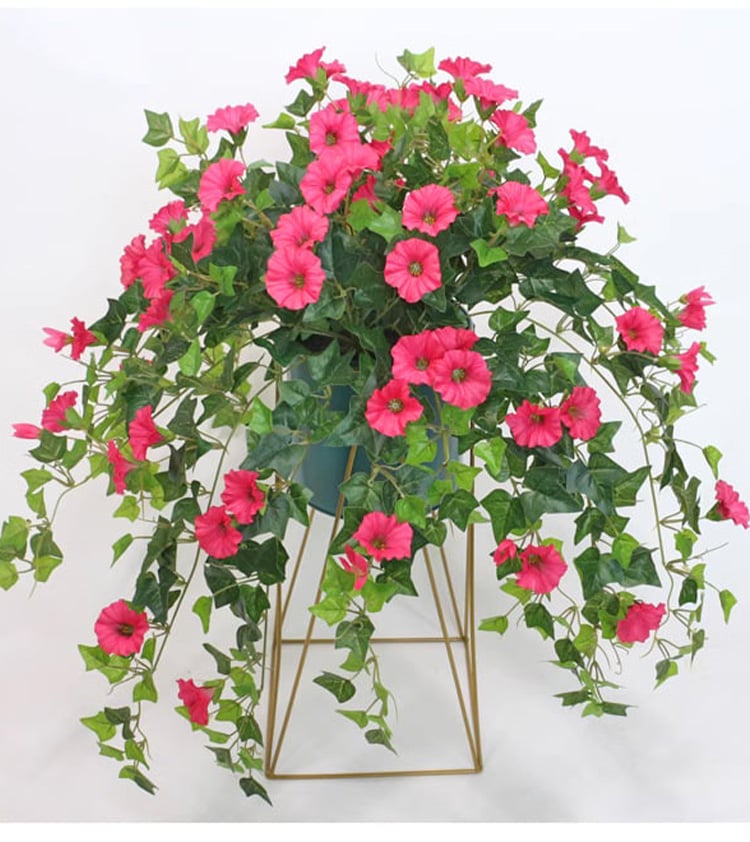 Ruhmesblüte™ Unvergängliche natürliche Schönheit