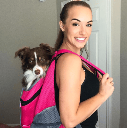 Hundetasche™ Bequem für Haustiere