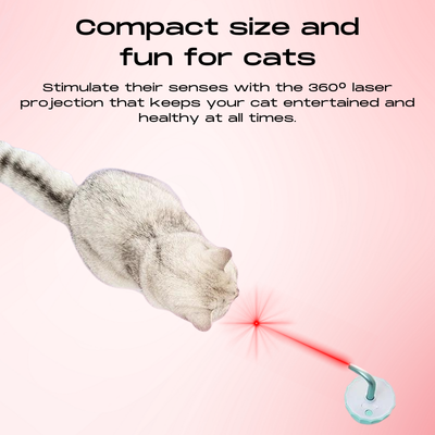 KatzenLaser™ Stimuliert natürliche Instinkte