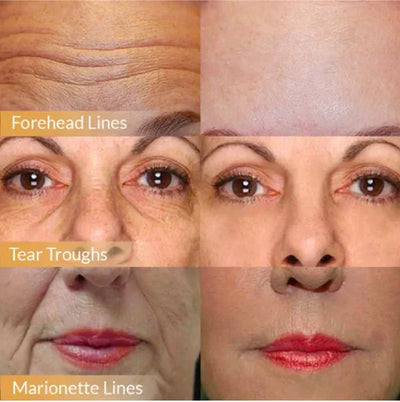 Anti-Aging Gesichtscreme | Japanische Pflege mit Orchideen-Extrakt & Ginseng | Lifting & Feuchtigkeit