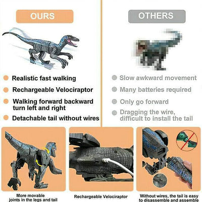 BewegungDino™ Durchstreifen Spielen Erforschen