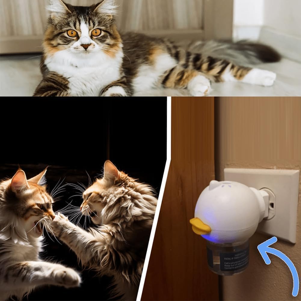 RuhigePfoten™ Reduziert Katzenstress