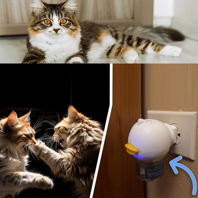 RuhigePfoten™ Reduziert Katzenstress