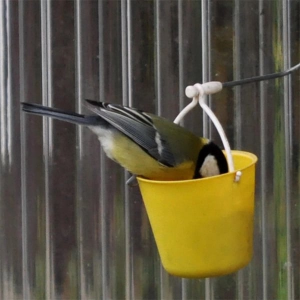 FederRad™ Spielspaß für Vögel
