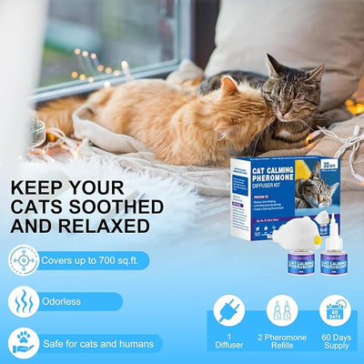 RuhigePfoten™ Reduziert Katzenstress