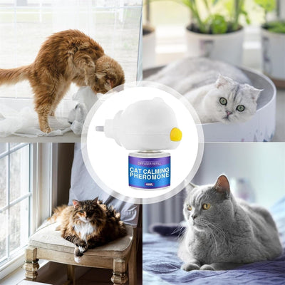 RuhigePfoten™ Reduziert Katzenstress