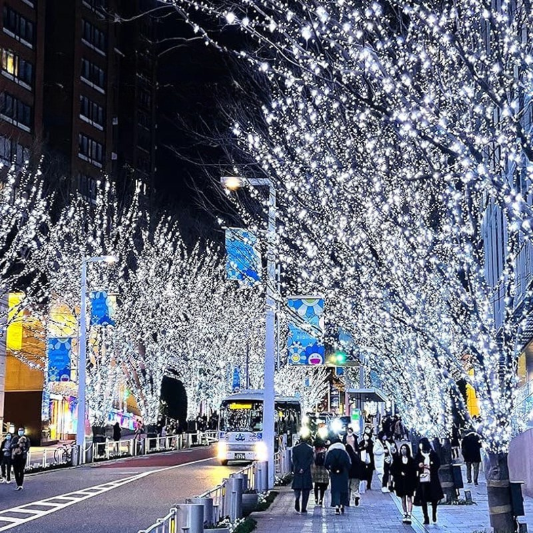 LED Kupferdraht Lichterkette | Flexibel, Formbar & Wasserdicht | Für Innen & Außen