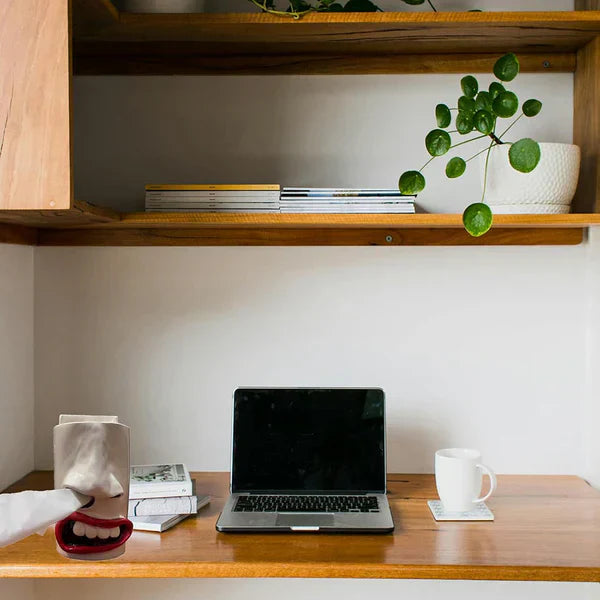 Taschentuchbox | Lustige Gesichtsform mit Nasen-Dispenser | Handgefertigte Deko & Geschenkidee