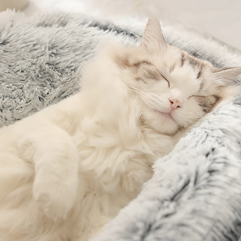 KittyLiege™ Erholsames Katzenbett