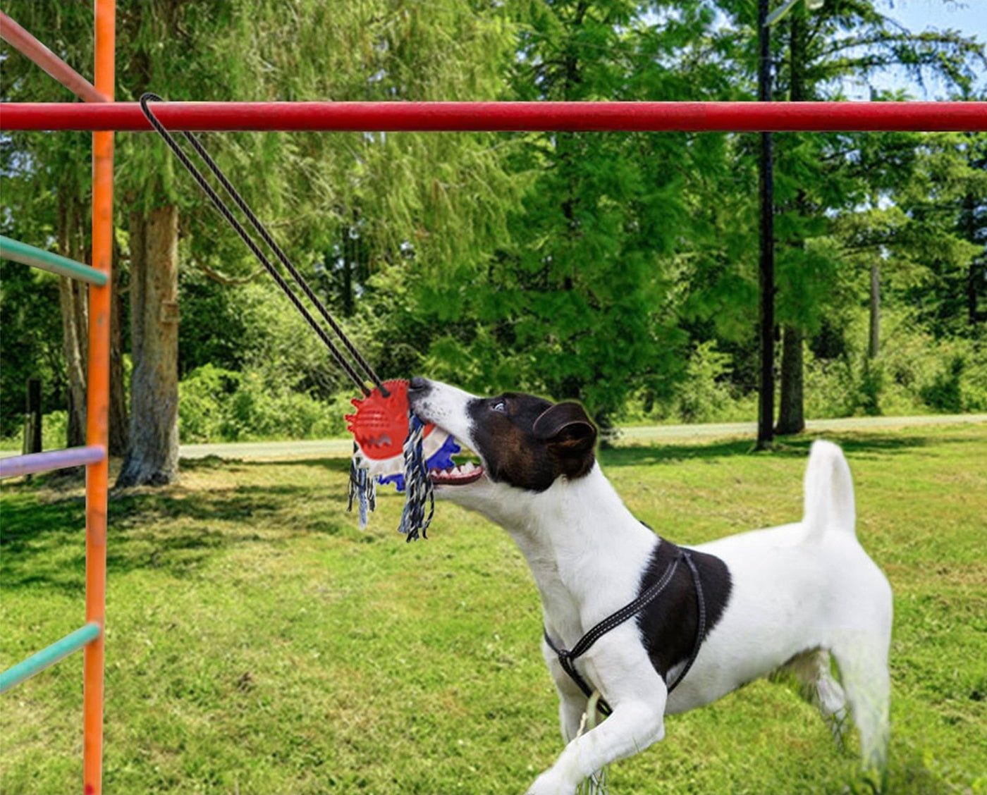 HundeSchlepper™ Unendlicher Spielspaß