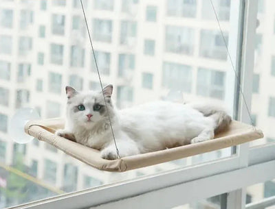 SchnurrenPod™ Katzennest