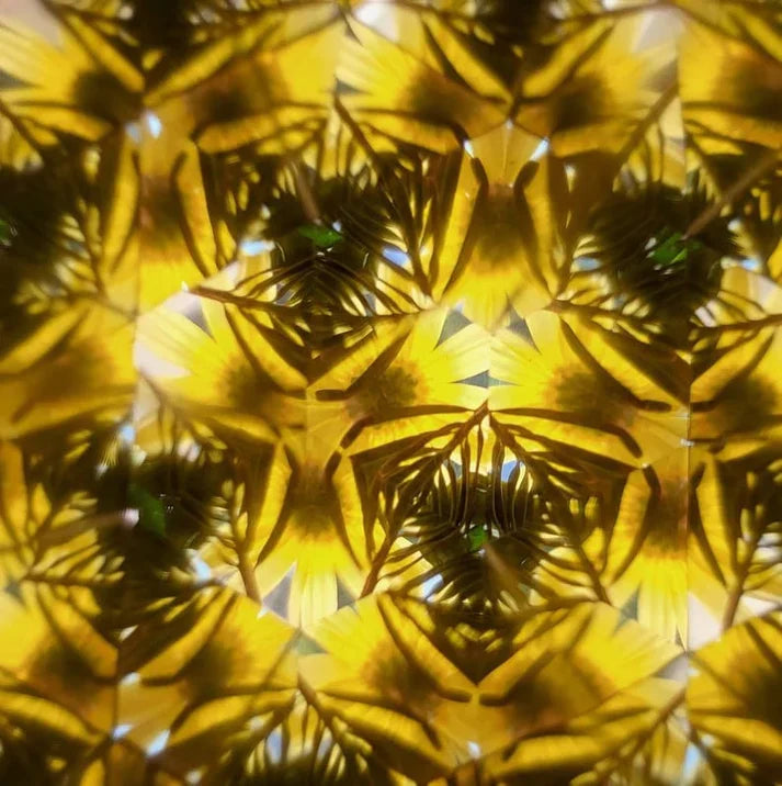 Waldwunder Kaleidoskop