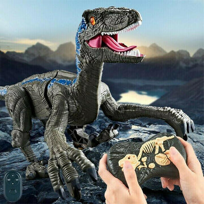 BewegungDino™ Durchstreifen Spielen Erforschen