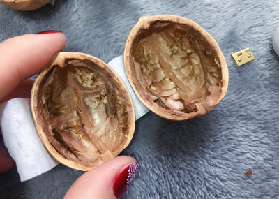 Miniatur Häuschen aus Walnussschale | Handgefertigt | Mit Licht