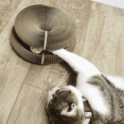 KatzenSpaß™ Katzenspielzeug