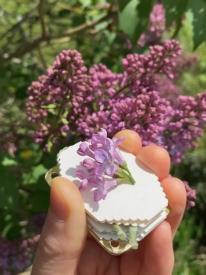 Mikro-Blumenpresse | Handgefertigt aus Silber & Messing | Inkl. 10 Blätter Herbarium-Papier