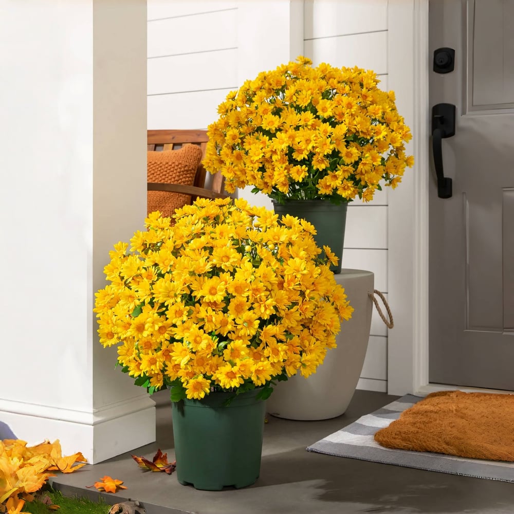 Künstliche Chrysanthemen | UV-beständig | Herbst-Deko für draußen | Naturgetreues Seidenmischgewebe