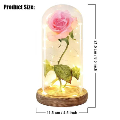 Galaxie für immer Rose Lampe | Ewige Rose im Glasdom | LED Deko Lampe | Symbol für Liebe & Zeitlose Schönheit
