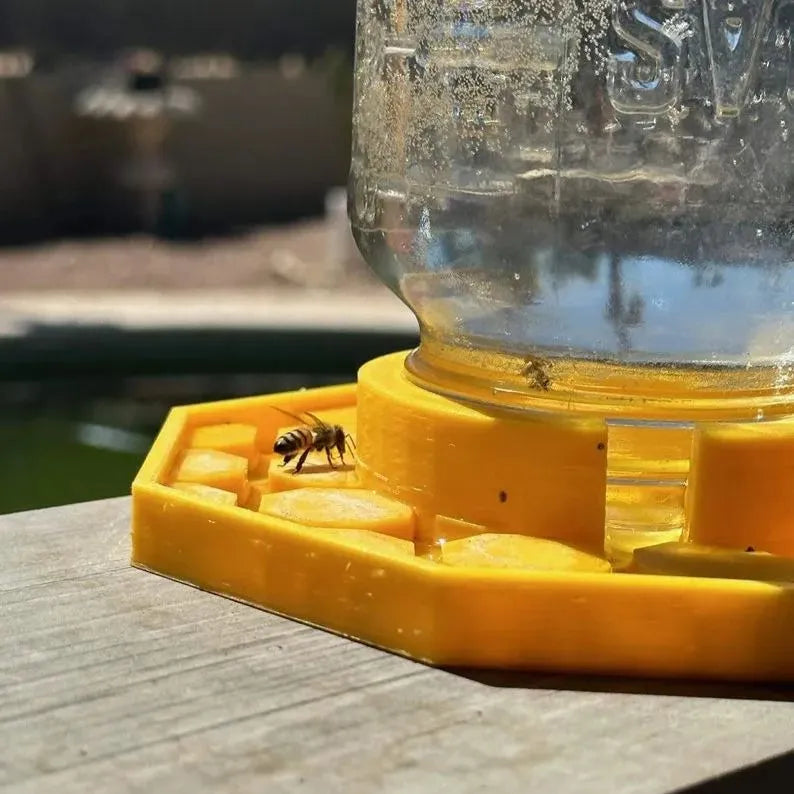 BienenQuelle™ Bienenfreundliche Wasserquelle