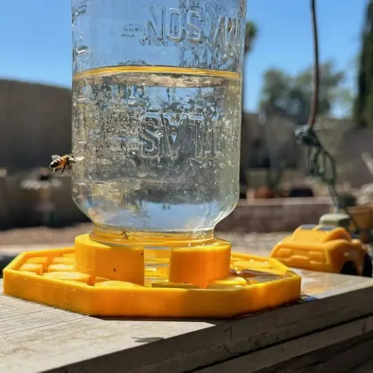 BienenQuelle™ Bienenfreundliche Wasserquelle