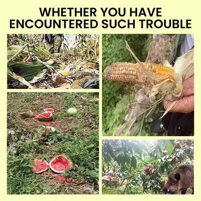 Solar Abwehrgerät mit Licht & Ton | Tiervertreiber | Wetterfest | Solar LED Blitzlicht & Alarm für Außenbereiche