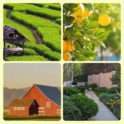 Solar Abwehrgerät mit Licht & Ton | Tiervertreiber | Wetterfest | Solar LED Blitzlicht & Alarm für Außenbereiche