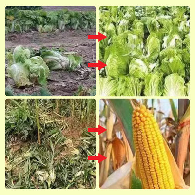 Solar Abwehrgerät mit Licht & Ton | Tiervertreiber | Wetterfest | Solar LED Blitzlicht & Alarm für Außenbereiche